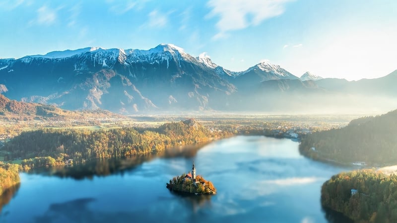 Dreamlike Botanic Vistas