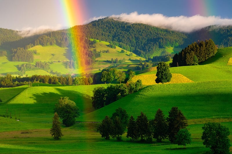 Rainbow Arboretum